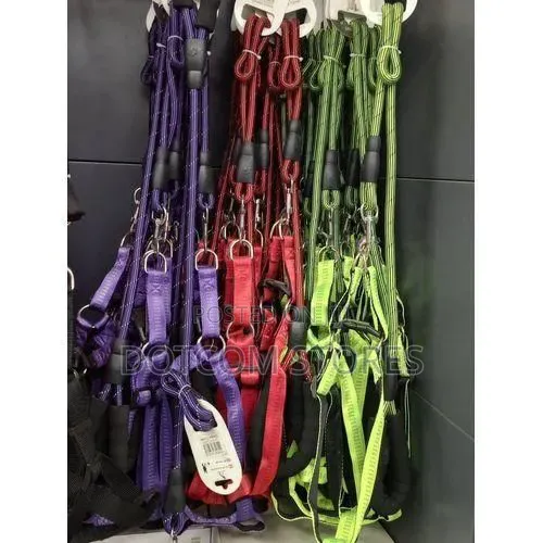 Nylon Dog Harness and Leash Set