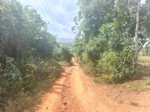 Land for Sale – Kasangati, Buwambo