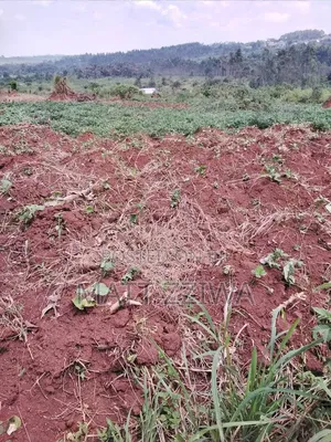 50x100 Land Plot in Kasanjye, Nakawuka