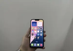 Apple iPhone 13 Pro Max 256 GB Gray