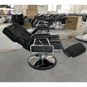 Professional Barber/Salon Chair