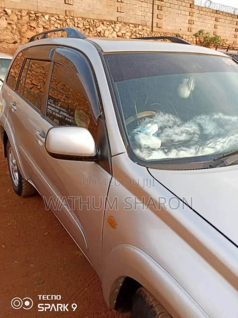 Toyota RAV4 2001 Silver