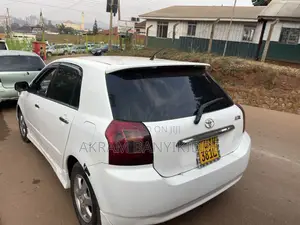 Toyota Allex 2006 White