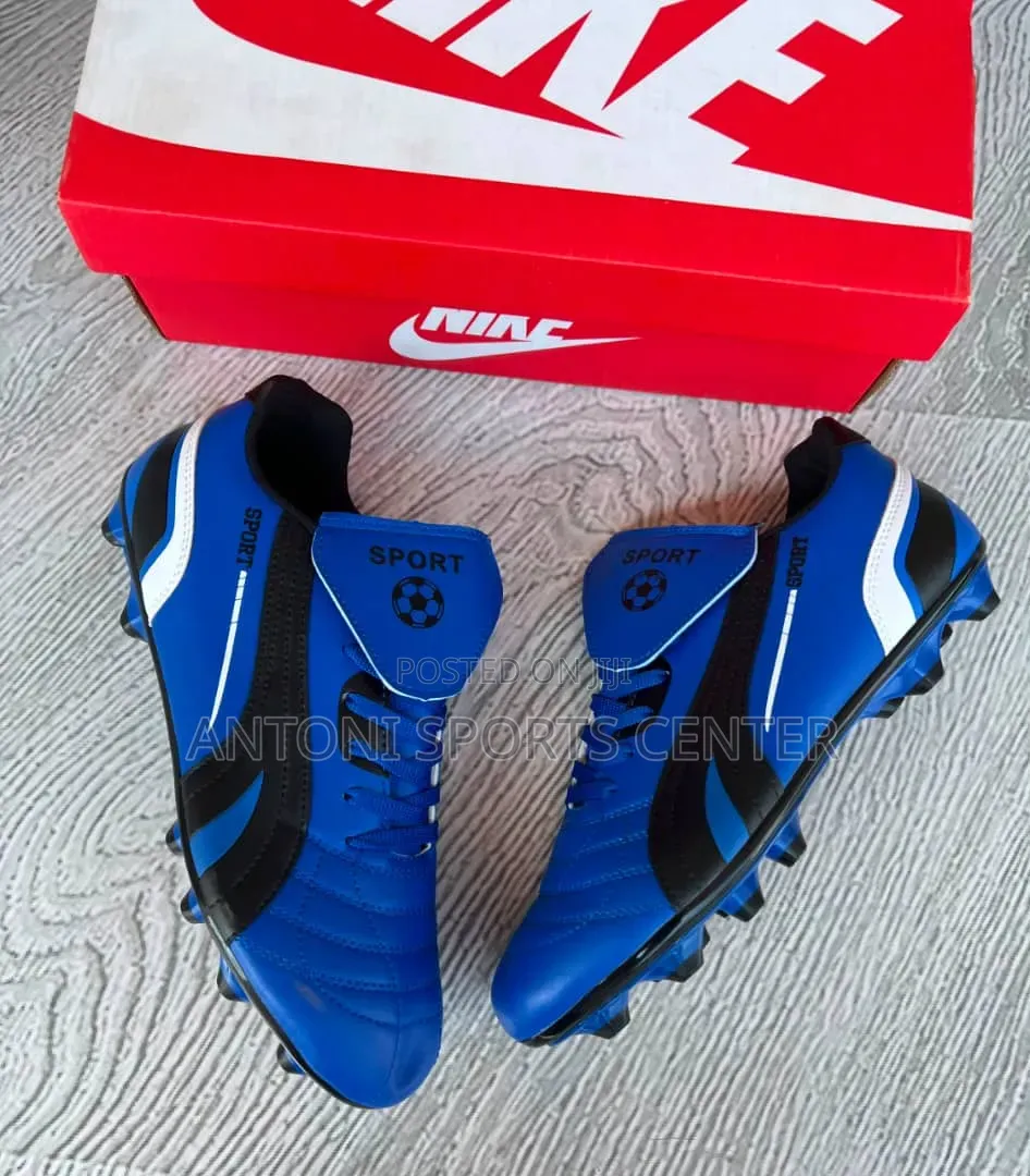 Nike Blue Shoe
