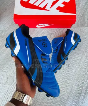 Nike Blue Shoe