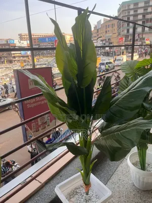 Artificial Plants for Home and Office Decoration