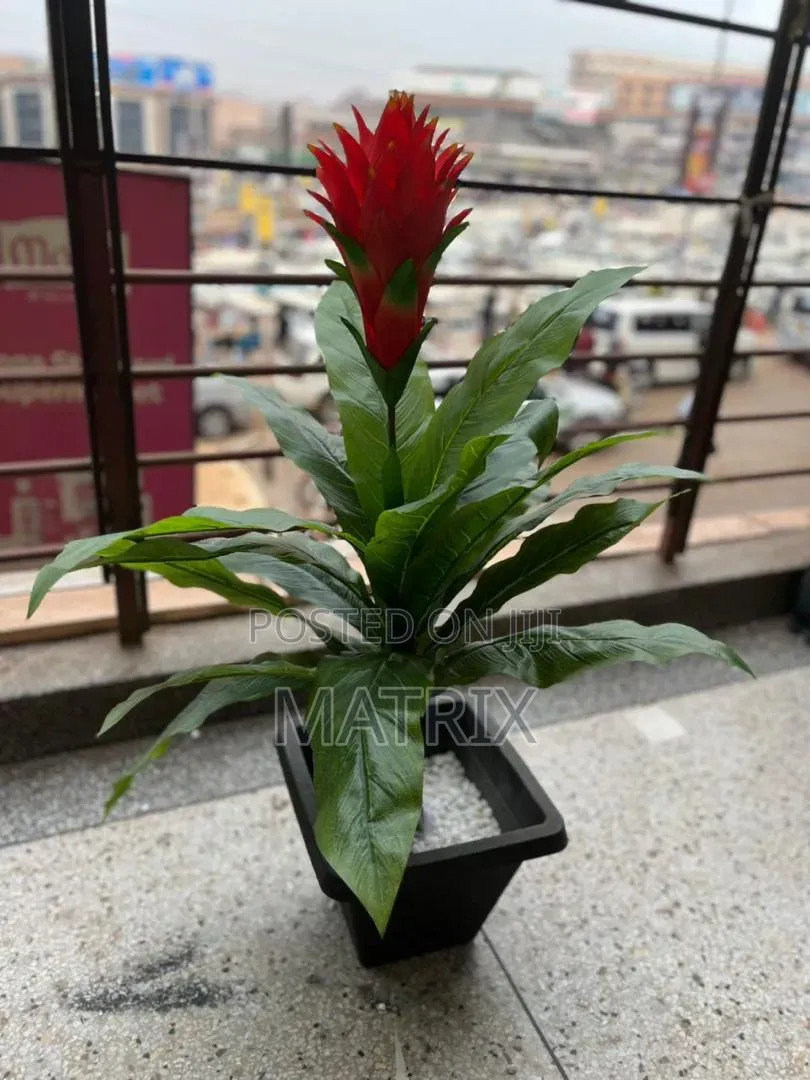 Artificial Plants for Home and Office Decoration