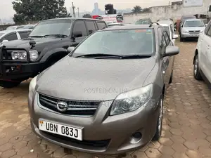 Toyota Corolla Fielder 2010 Gray