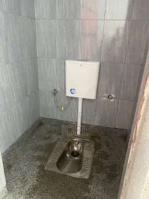 Stainless Squatting Pan Installation