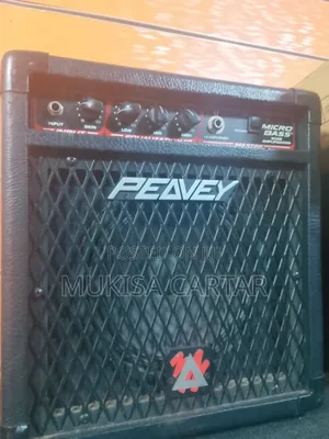 Peavey Combo