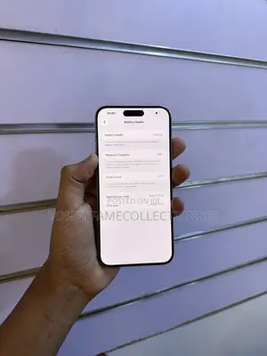 Apple iPhone 15 Pro Max 256 GB Gray