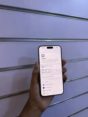 Apple iPhone 15 Pro Max 256 GB Gray