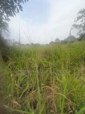 Prime Land for Sale W'obulenzi - Buzibwera