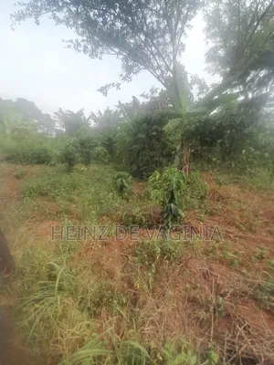 Prime Land for Sale