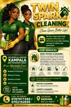 Twin Spark Cleaners