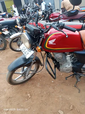 Honda CBR 2024 Red