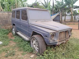 Mercedes-Benz G-Class 1995 Gray