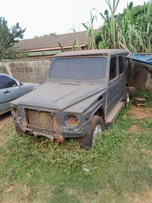 Mercedes-Benz G-Class 1995 Gray