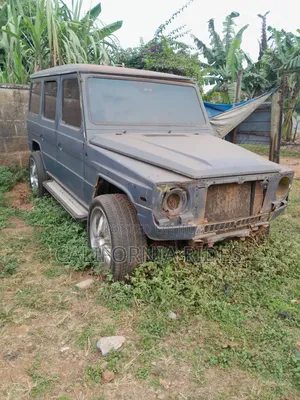 Mercedes-Benz G-Class 1995 Gray