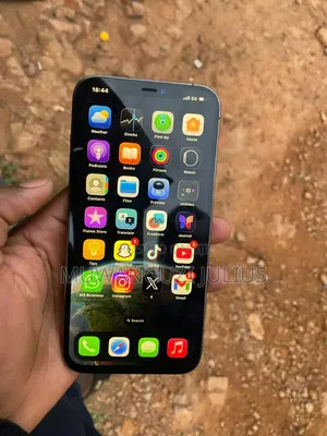 Apple iPhone 12 Pro Max 256 GB Silver