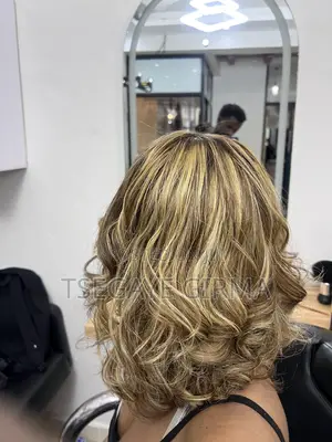 Ladies Hair Stylist