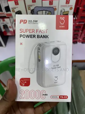 Berry 20000mah Power Bank