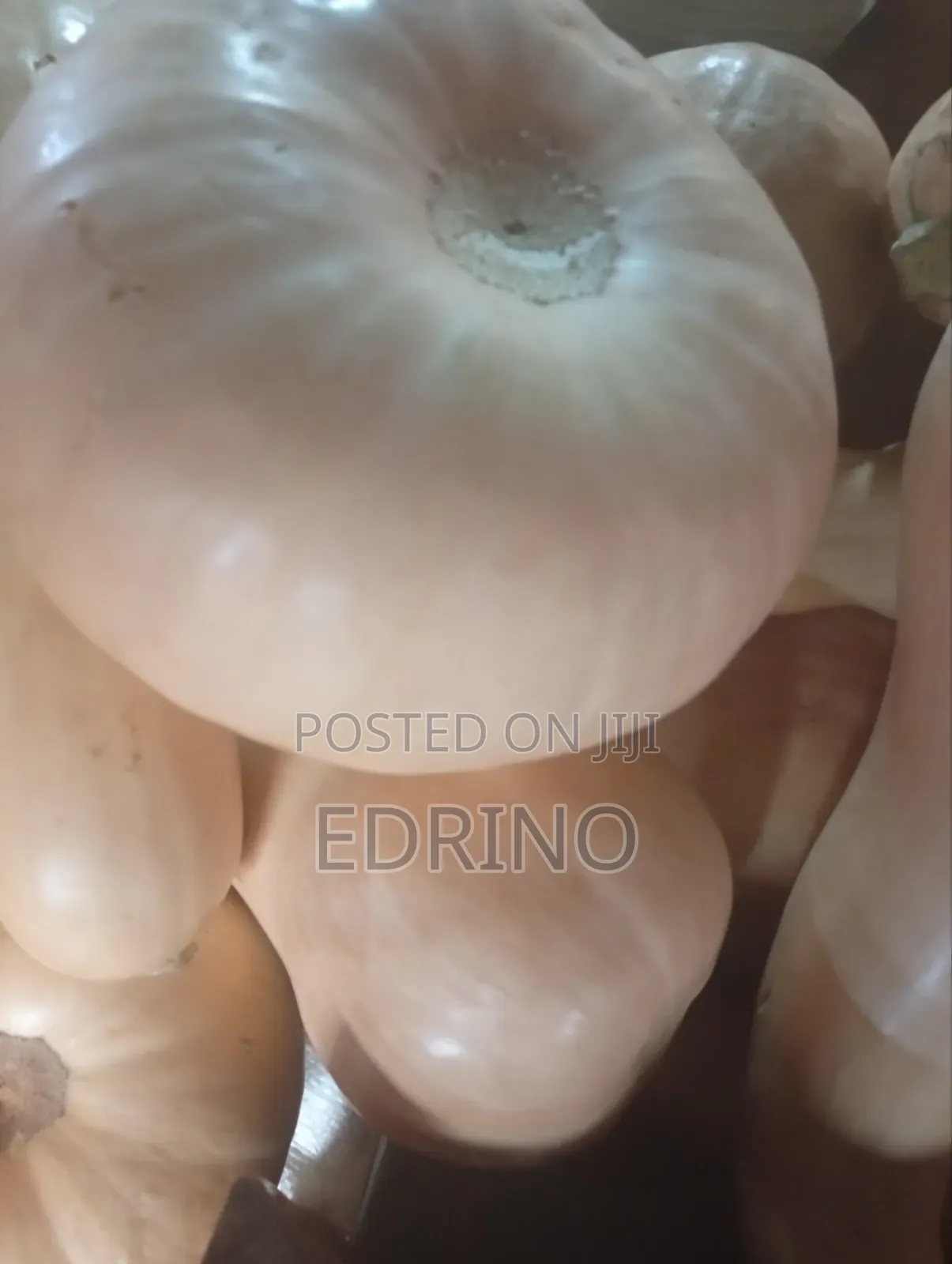 Fresh Butternut