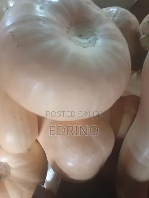 Fresh Butternut