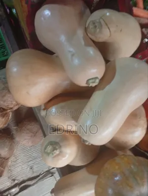 Fresh Butternut