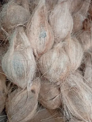 Fresh Coconut
