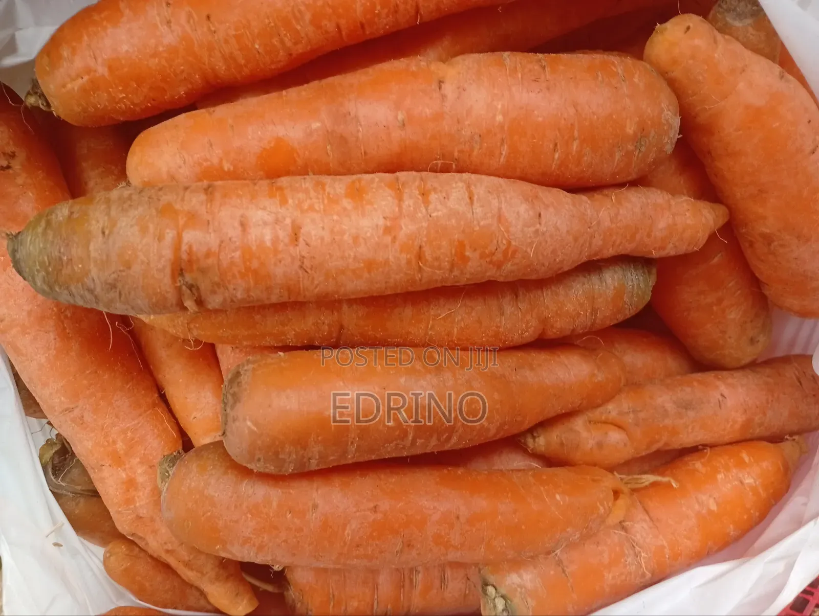 Fresh Carrots