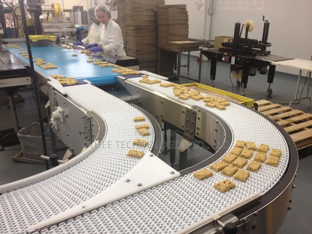 Conveyor Control Systems