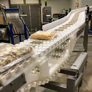 Conveyor Control Systems