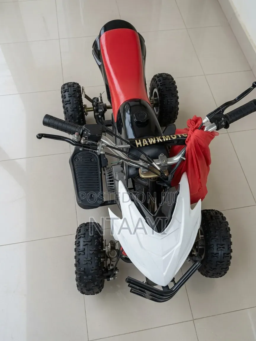 Hawkmoto Mini Quad