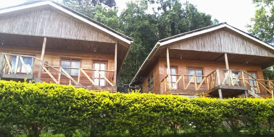 Hotel Accommodation Service