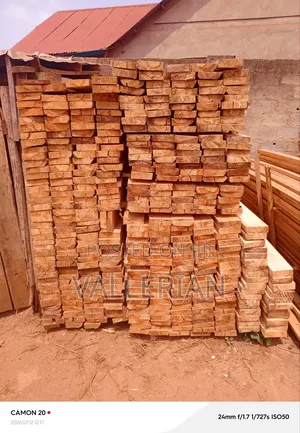Makooko Tree Offcuts