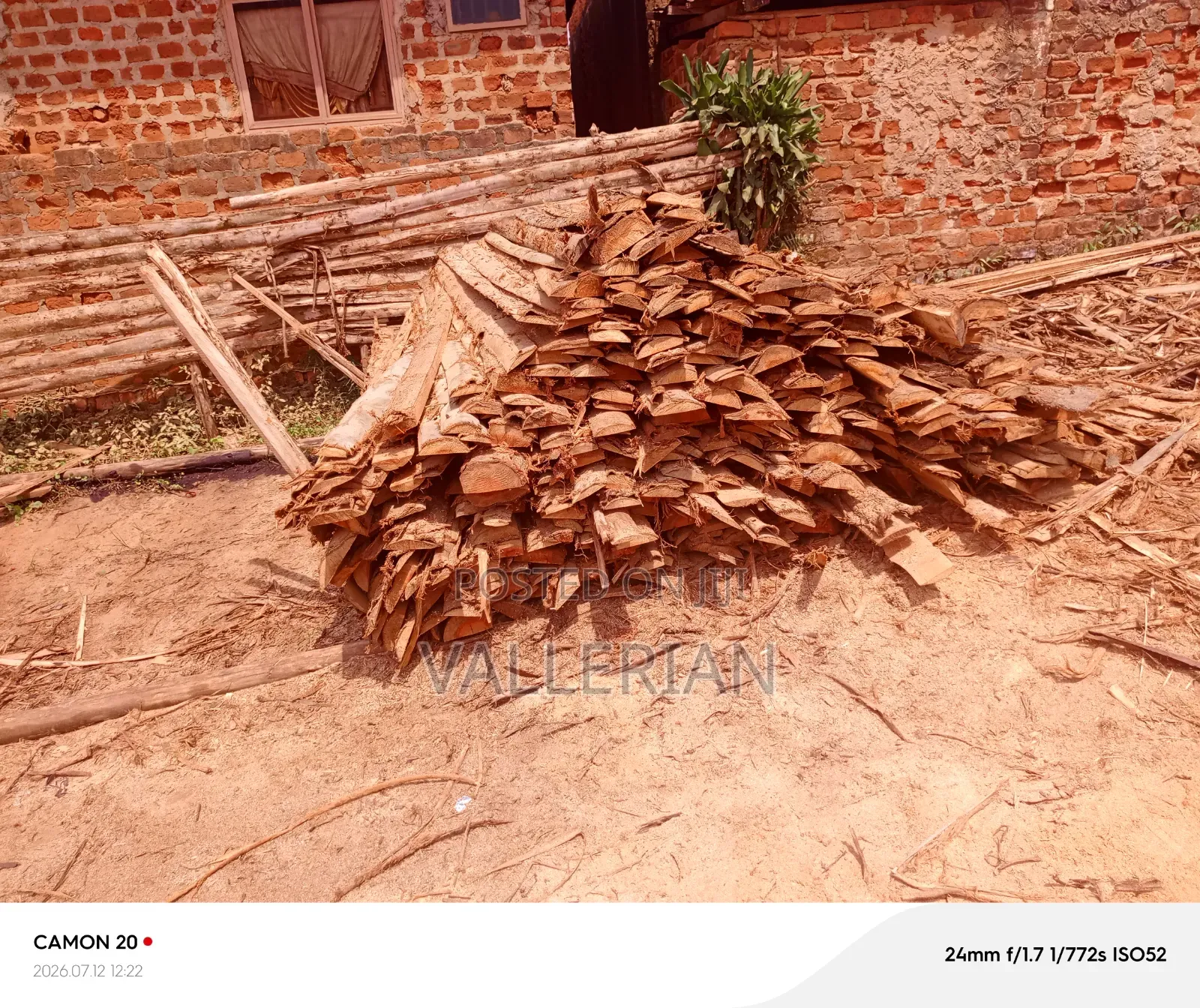 Makooko Tree Offcuts