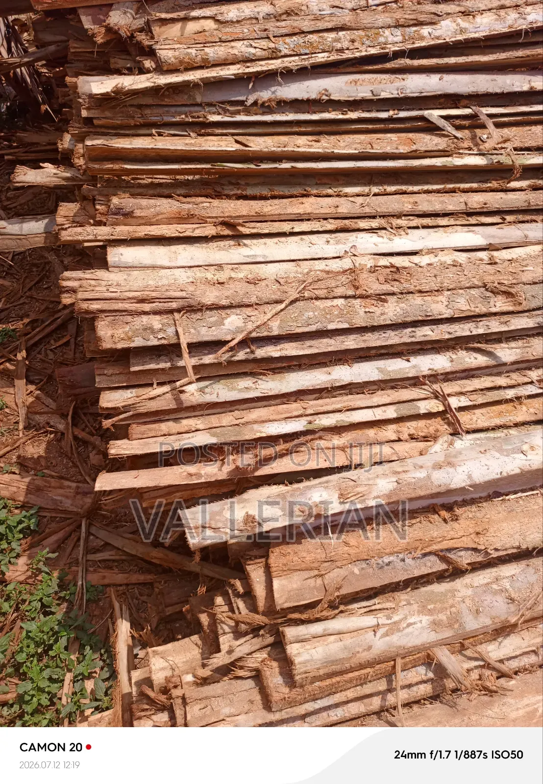 Makooko Tree Offcuts