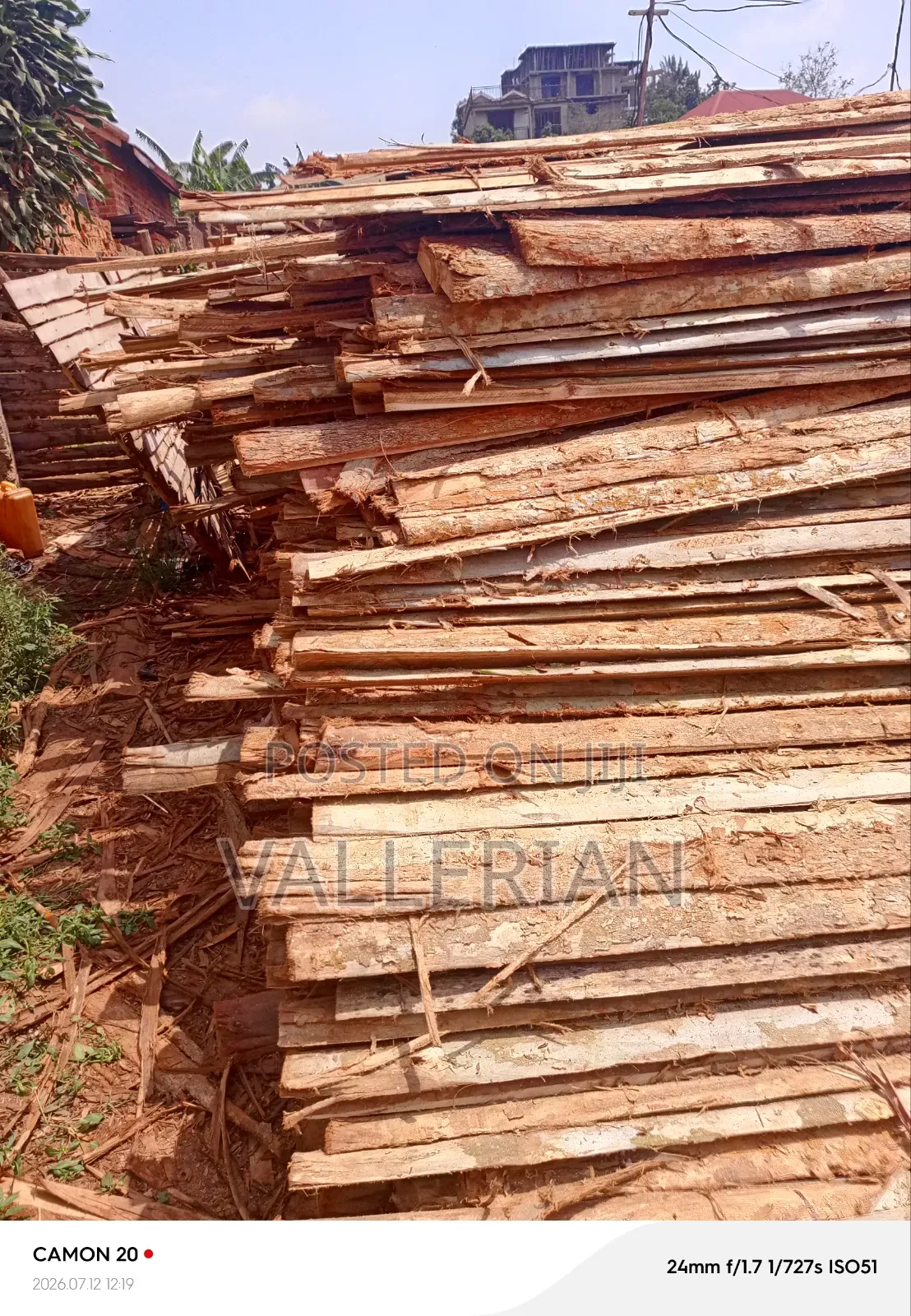 Makooko Tree Offcuts