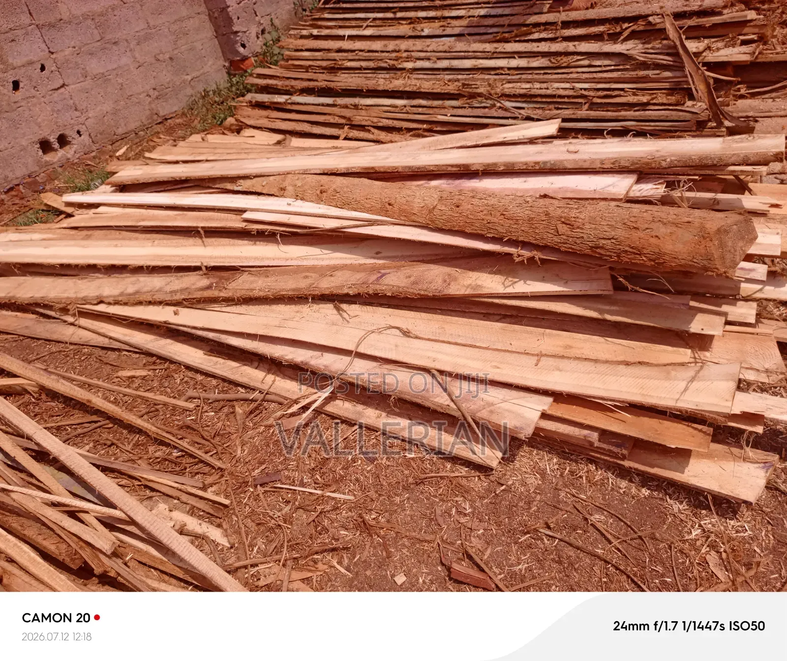 Makooko Tree Offcuts