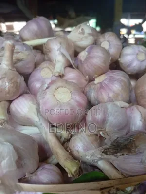 Local Garlic 