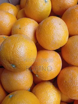 Fresh Yellow Oranges