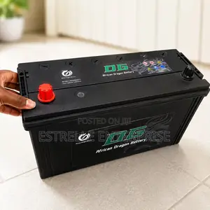N100 Maintenance Free Car Battery Dg African Dragon