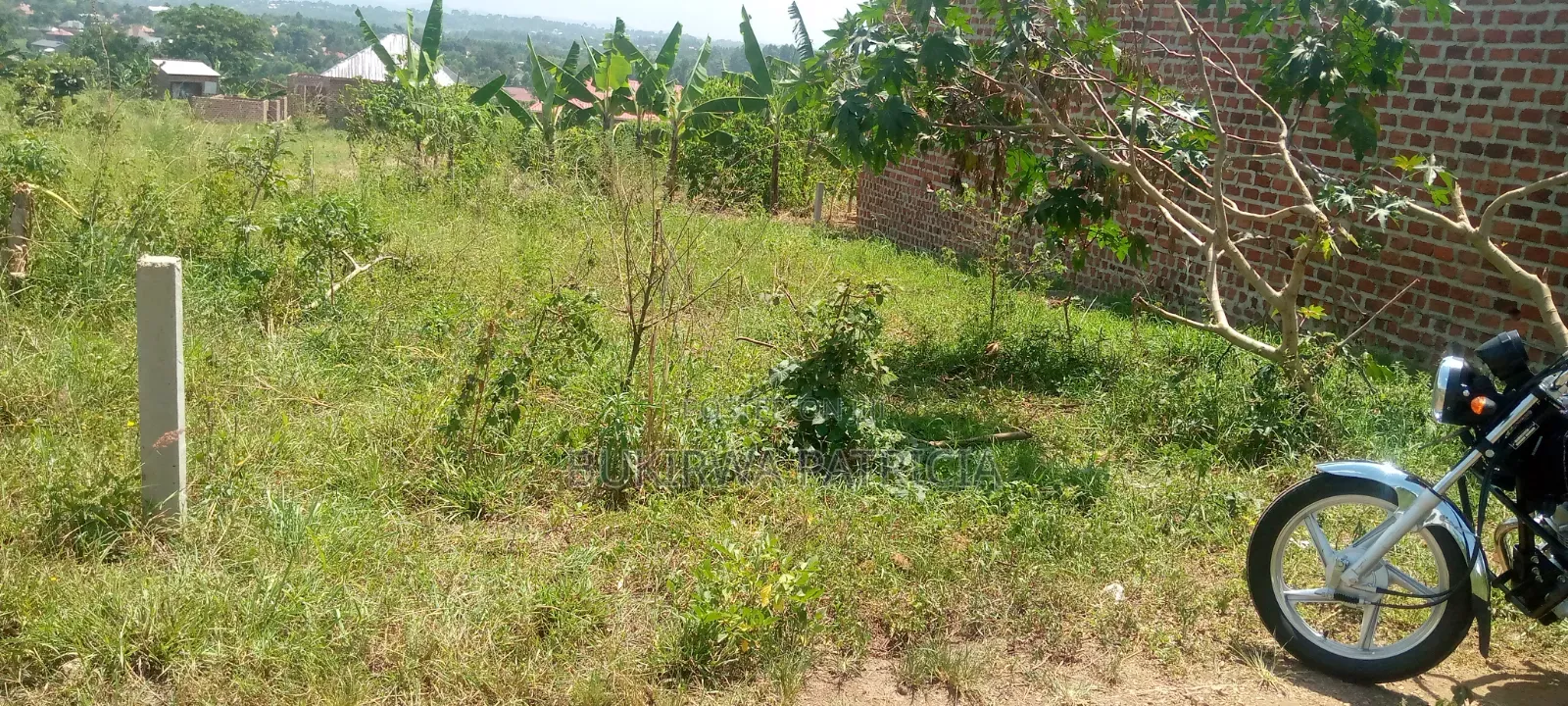 25 by 50 Plot for Sell With Sand and Bricks