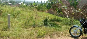25 by 50 Plot for Sell With Sand and Bricks