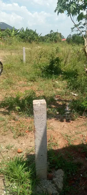 25 by 50 Plot for Sell With Sand and Bricks