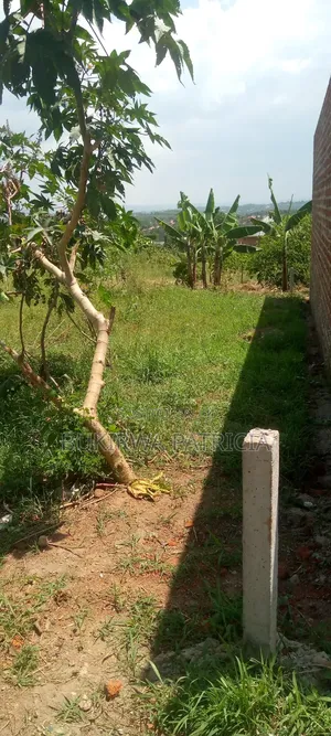 25 by 50 Plot for Sell With Sand and Bricks