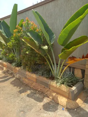 Furnished 5bdrm Duplex in Kira, Nakawa for sale