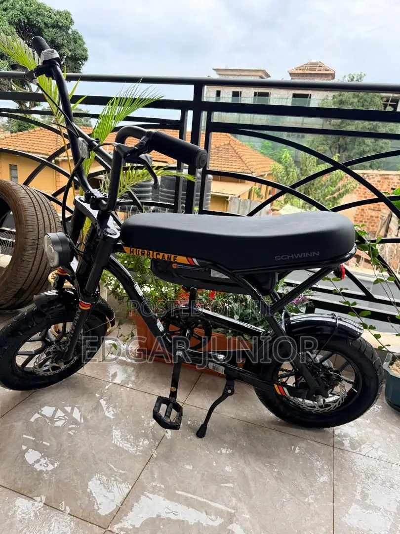 Hurricane Electric Bike