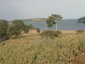 4 Plots on Sale With Lake View Entebbe